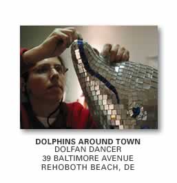 dolphin